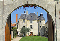 Adopt-a-vine Christmas gift for a wine lover at Château de la Bonnelière, Chinon; the Loire Valley, France
