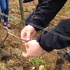 Customer reference, rent a vine gift and vineyard tending experience, Burgundy, France