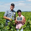 Customer reference, vine discovery experience gift box in Chablis, France