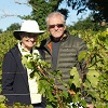 Vine owner feedback on the organic wine-making experience gift in France