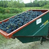 Customer rating Grape picking Experience Day