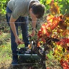 Customer rating Harvest in aan organic winery