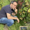 Customer feedback Adopt-a-vine gift in Burgundy
