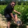 Discovery day and vineyard visit with Gourmet Odyssey in France