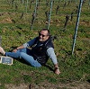 Review organic wine-making experience gift in Alsace