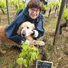 Client rating on the organic wine-making experience gift in Saint-Emilion