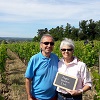 Rent an organic vine in Saint-Emilion with Chateau Coutet
