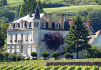 Retirement Present for a wine connoisseur.  Rent vines at Domaine Chapelle, Santenay, Burgundy, France